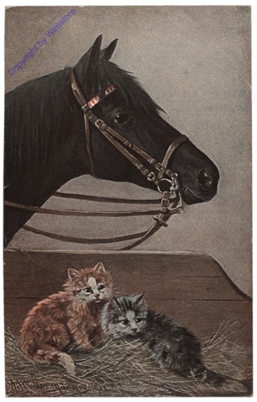 333. Pferd mit Katzen