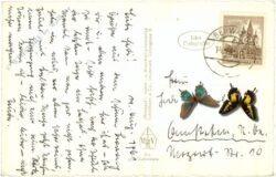 berwang, multiansicht