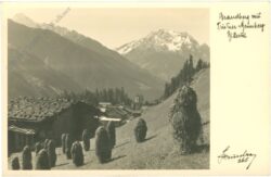 brandberg, ansicht