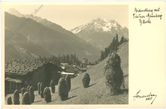 brandberg, ansicht