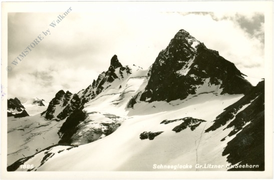 galtür, schneeglocke gr. litzner, seehorn