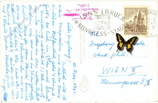 innsbruck, mit nordkette