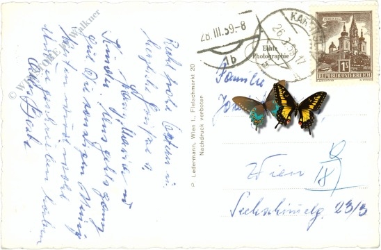 kartitsch, erschbaumtal