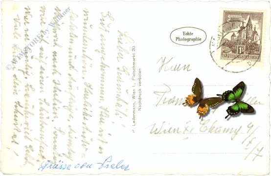 kartitsch, ortsansicht