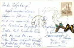 kirchberg in tirol, gegen kitzbühler horn
