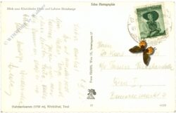 kitzbühel, blick zum kitzbüheler horn und loferer steinberge