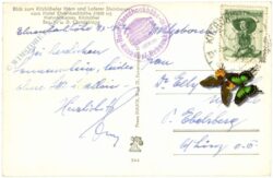 kitzbühel, blick zum kitzbüheler horn und loferer steinberge