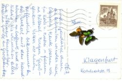 matrei, multiansicht