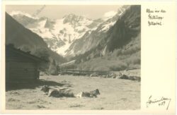 mayrhofen, alm in der stillupp