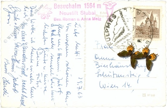 neustift im stubaital, bsuechalm