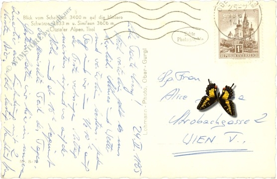 oetz, blick vom schalfjoch auf die hintere schwärze u. similaun