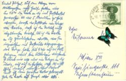 st. jakob im defereggen, almerkees, almerhorn