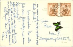 st. jakob im defereggen, seespitze