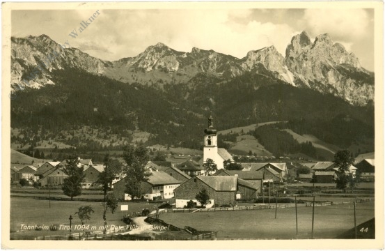 tannheim, mit rote flüb u. gimpel