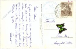 tauer, n. prager h., gr. venediger