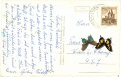 telfes, gegen kalkkögel