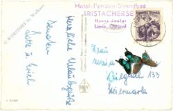 tristach, multiansicht tristachersee