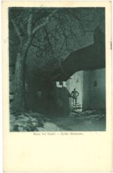 wien, bei nacht, späte heimkehr