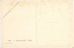 wien, x. sängerbundfest, festzug