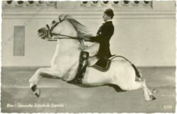 wien 1, spanische reitschule capriole