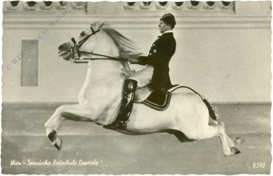 wien 1, spanische reitschule capriole wien 1, spanische reitschule capriole
