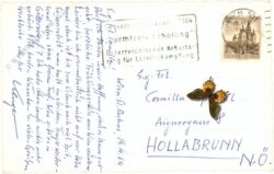 wien 1, st. rochus kirche