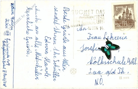 wien 5, hochhaus am matzleindorferplatz