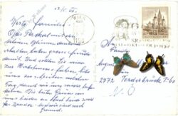 wien 11, schnellbahnhof