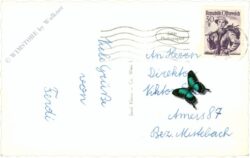 wien 13, schloss schönbrunn