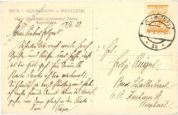 wien 13, schönbrunn, menagerie, mara