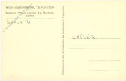 wien 13, schönbrunn, menagerie, seehund