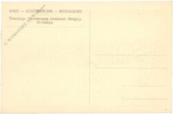 wien 13, schönbrunn, menagerie, tharziege