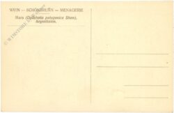 wien 13, schönbrunn, menagerie, mara