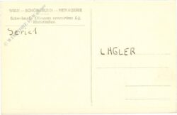 wien 13, schönbrunn, menagerie, schweinsaffe