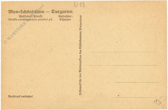 wien 13, schönbrunn, menagerie, giraffe