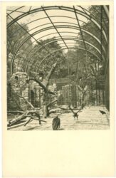 wien 13, schönbrunn, menagerie, motiv aus dem flugkäfig für große raubvögel
