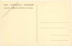 wien 13, schönbrunn, menagerie, seeadler