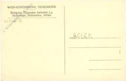 wien 13, schönbrunn, menagerie, bartgeier