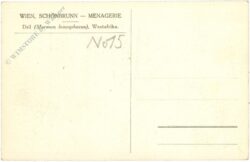 wien 13, schönbrunn, menagerie, dril