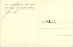 wien 13, schönbrunn, menagerie, zebra