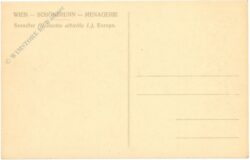 wien 13, schönbrunn, menagerie, seeadler