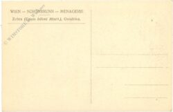 wien 13, schönbrunn, menagerie, zebra