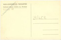 wien 13, schönbrunn, menagerie, seehund