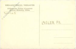 wien 13, schönbrunn, menagerie, afrikanischer elefant