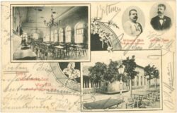 wien 16, türk's wilhelminen saal, multiansicht