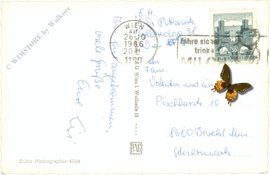 wien 19, multiansicht höhenstrasse