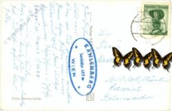 wien 19, kahlenberg, höhenstraße mit blick auf wien