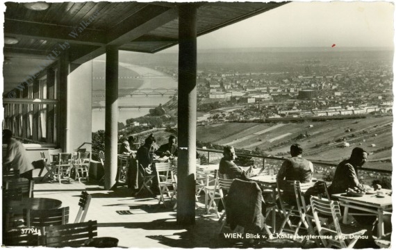 wien 19, blick v.d. kahlenbergterrasse gegen donau wien 19, blick v.d. kahlenbergterrasse gegen donau