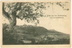 wien 19, blick auf den kahlenberg und leopoldsberg