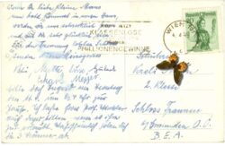 wien 19, höhenstrasse mit kobenzl und schneeberg